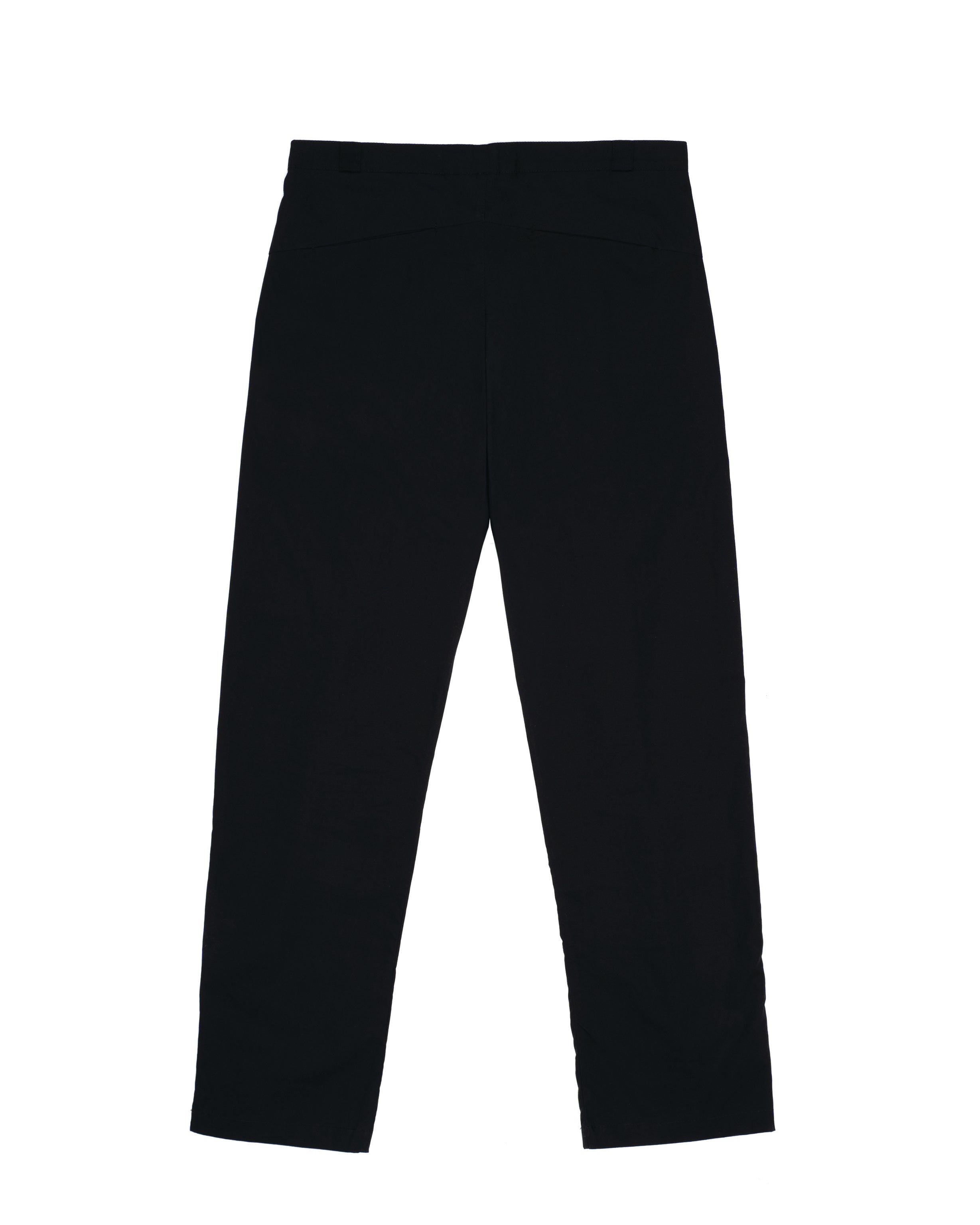 Pleated Pants